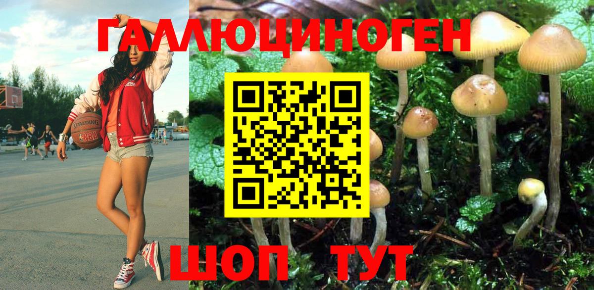 Галлюциногенные грибы мицелий Калуга