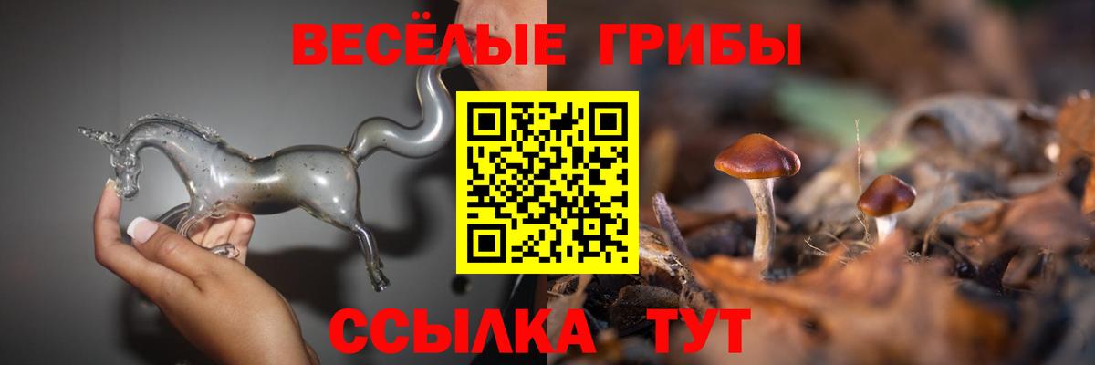 продажа наркотиков  Псилоцибиновые грибы ЛСД  Вход с VPN  Калуга 
